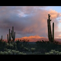 Superstition Wilderness, Four Peaks, Arizona, USA :: 2287ehAZARZfourpeaksalpenglowjpg